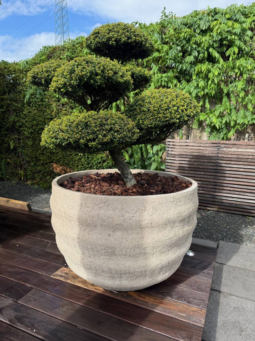 Garten & Wohnen Terracotta Keramik modern