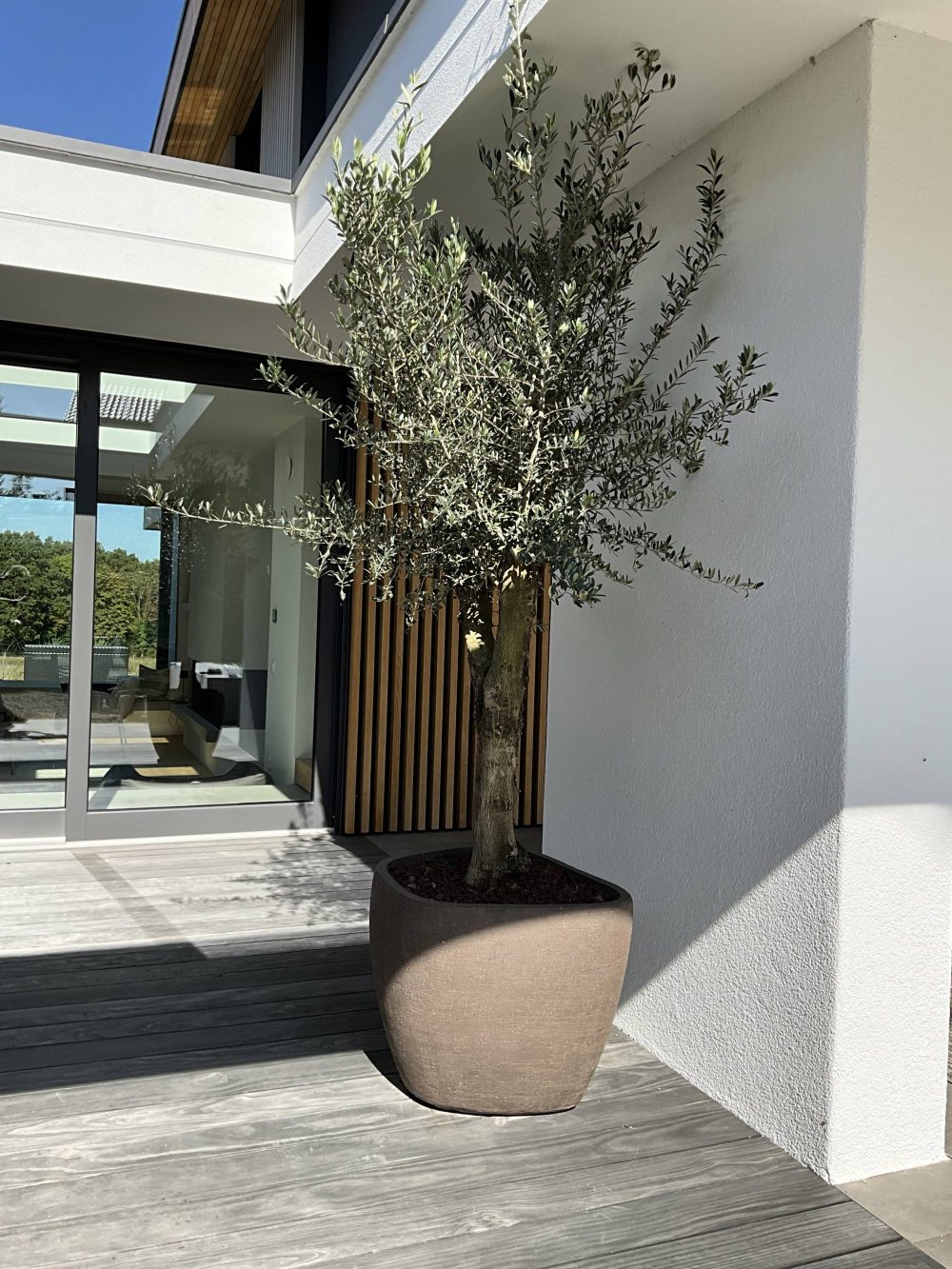 moderne teracotta terrakotta pflanzgefäße impruneta domani atelie vierkant Garten & Wohnen Münster